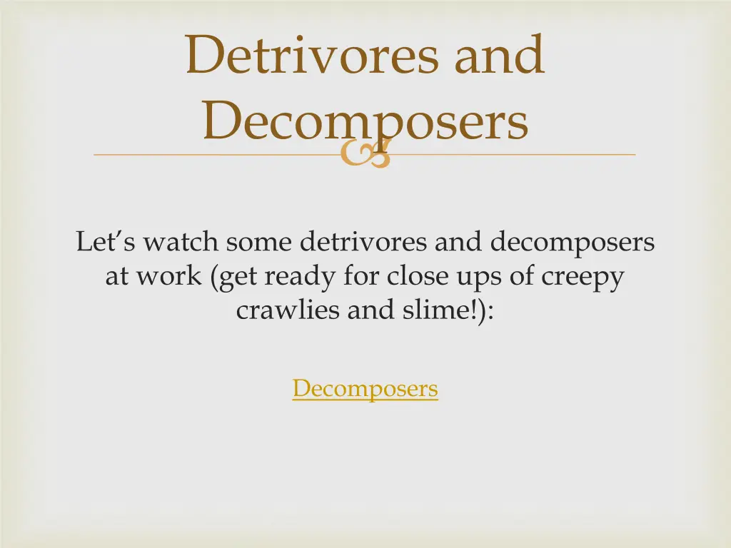 detrivores and decomposers 3