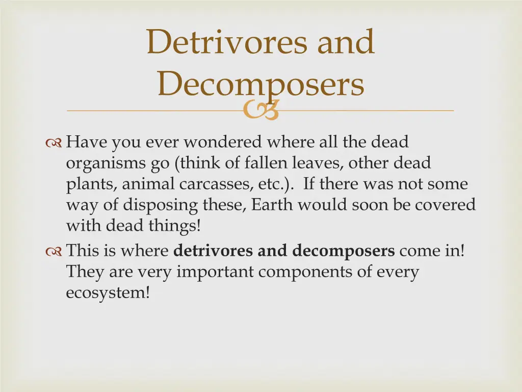 detrivores and decomposers