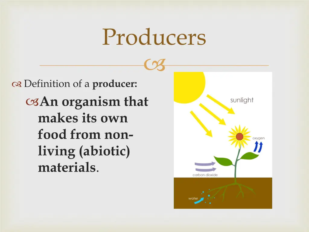 producers 1