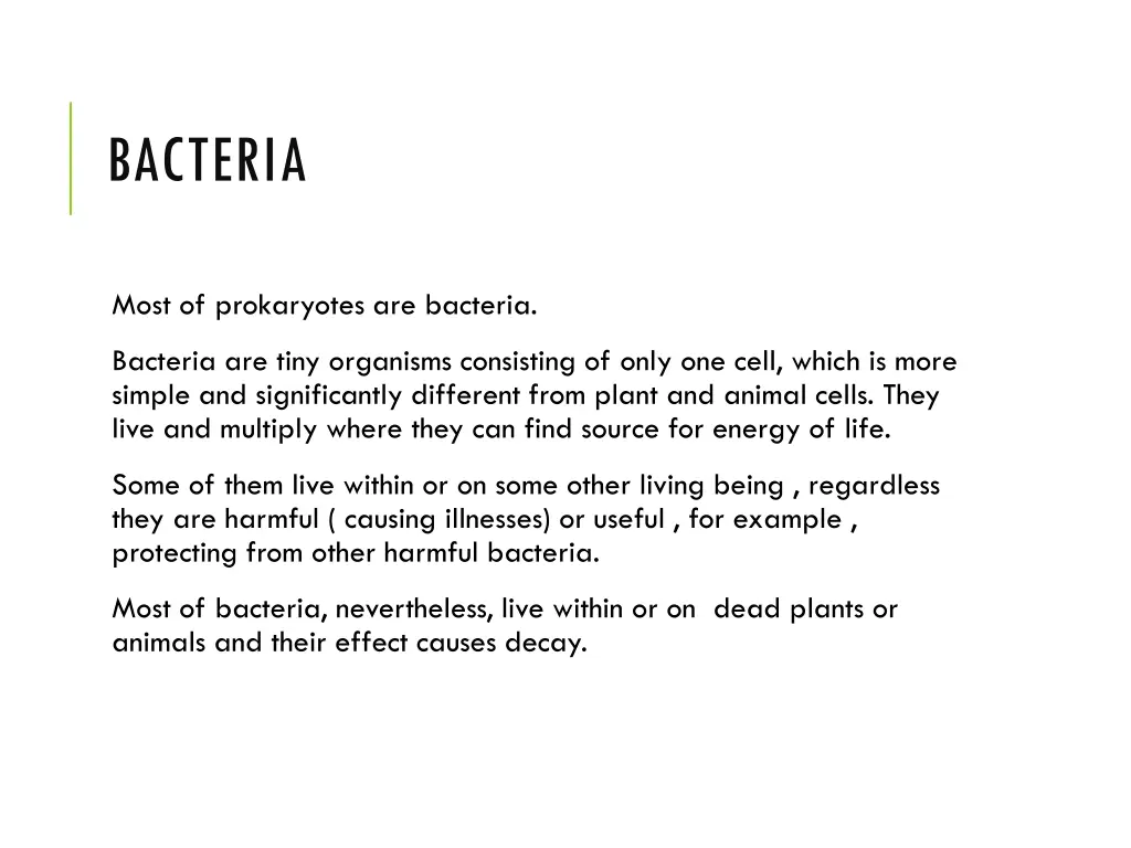 bacteria