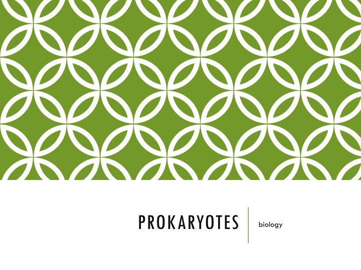 prokaryotes