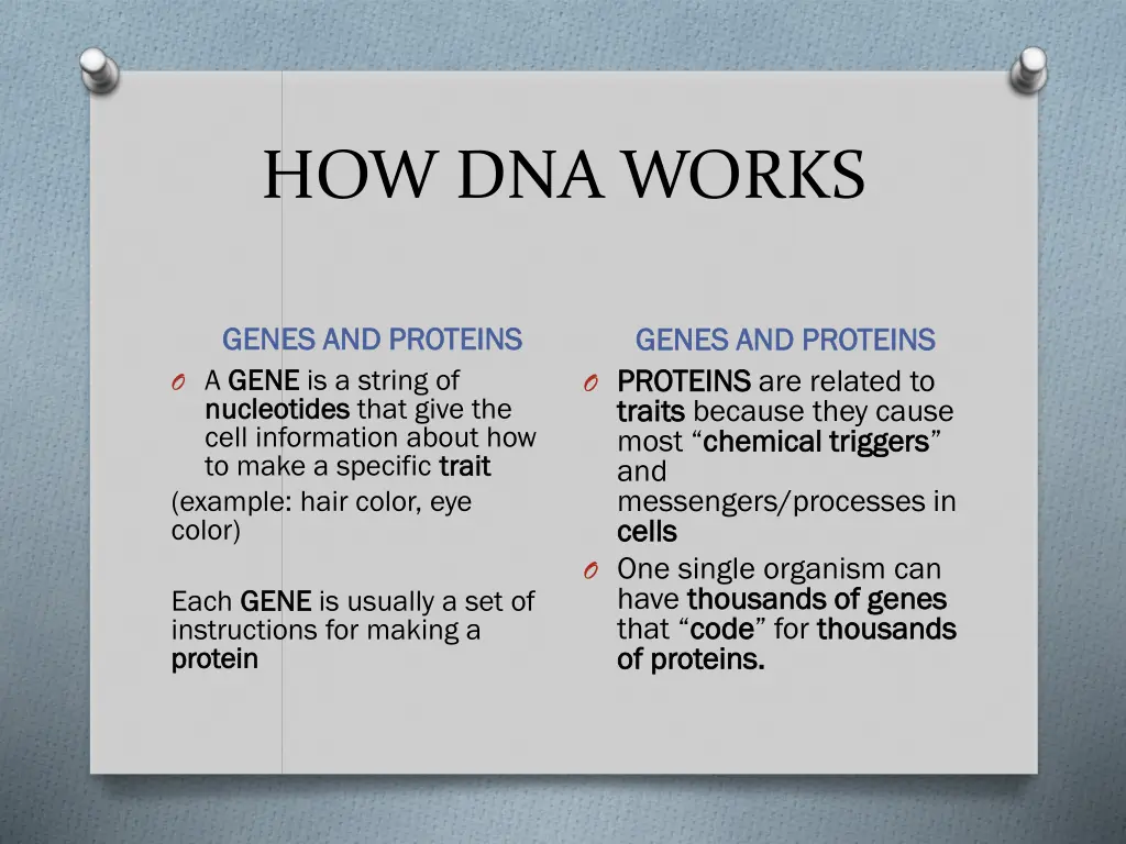 how dna works 1