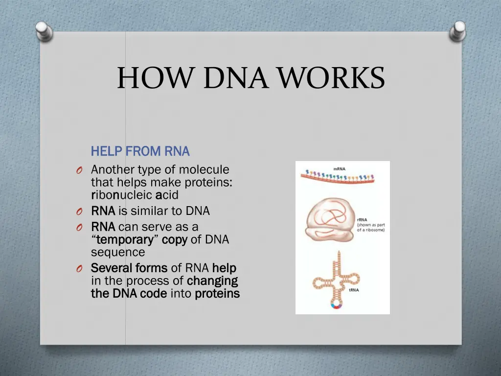 how dna works 2