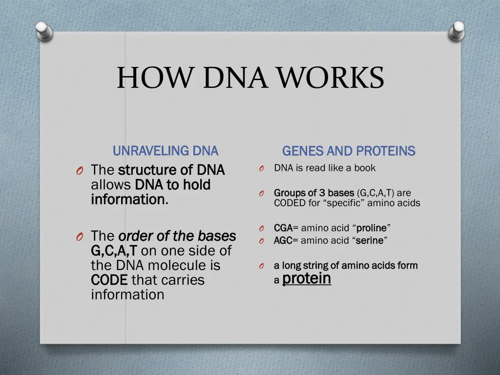 how dna works