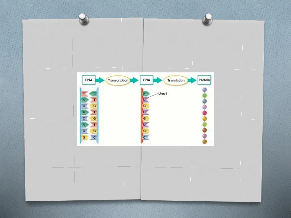 slide11