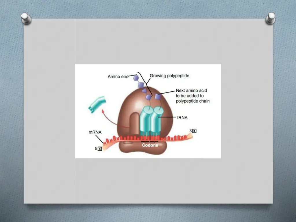 slide9