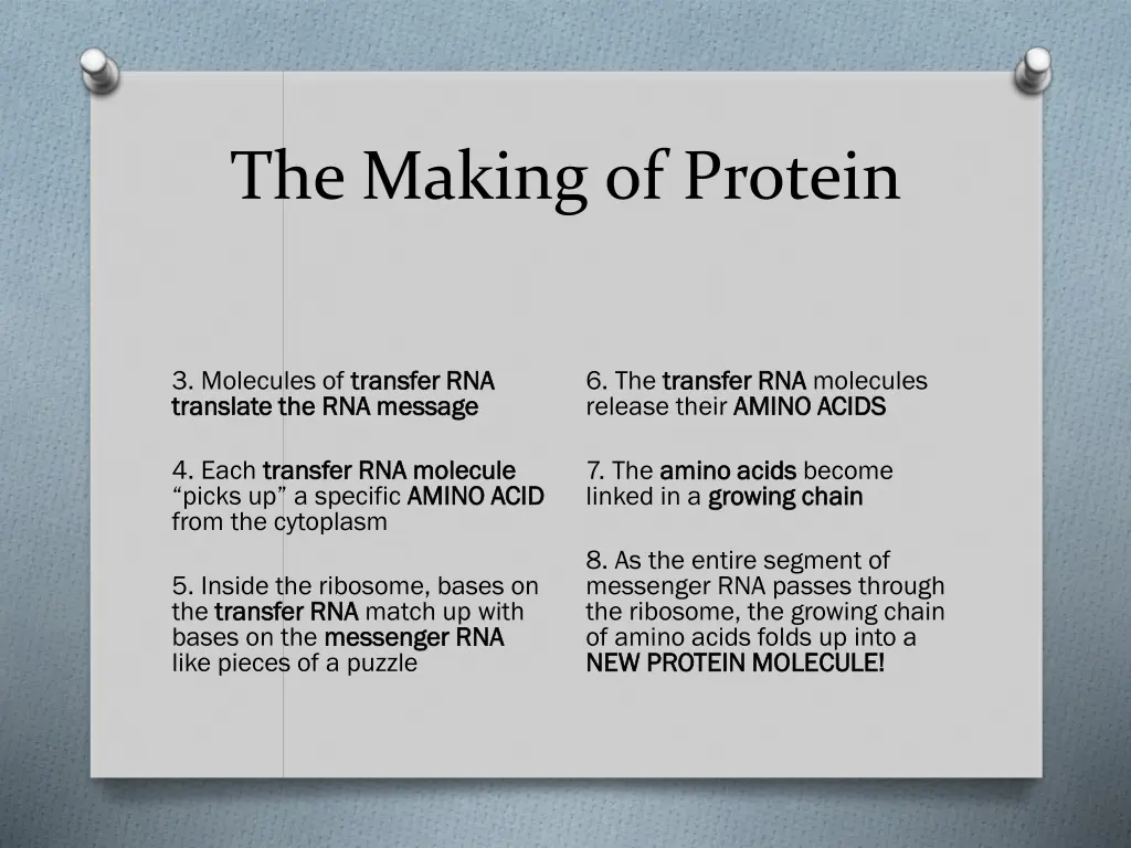 the making of protein 1