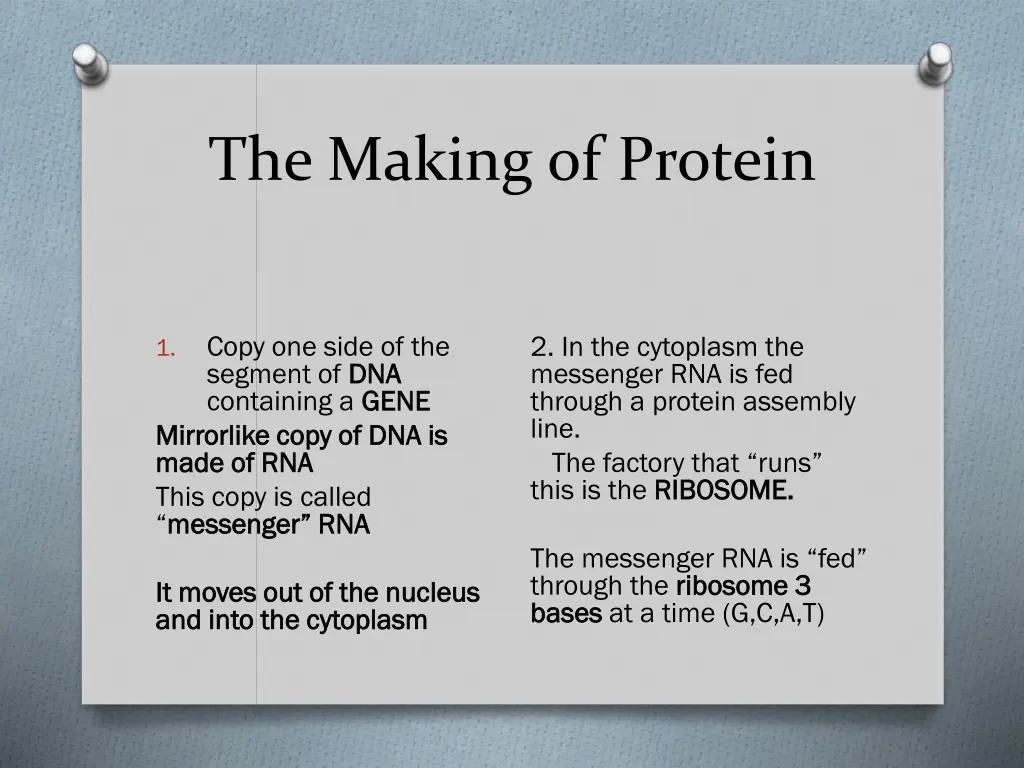 the making of protein