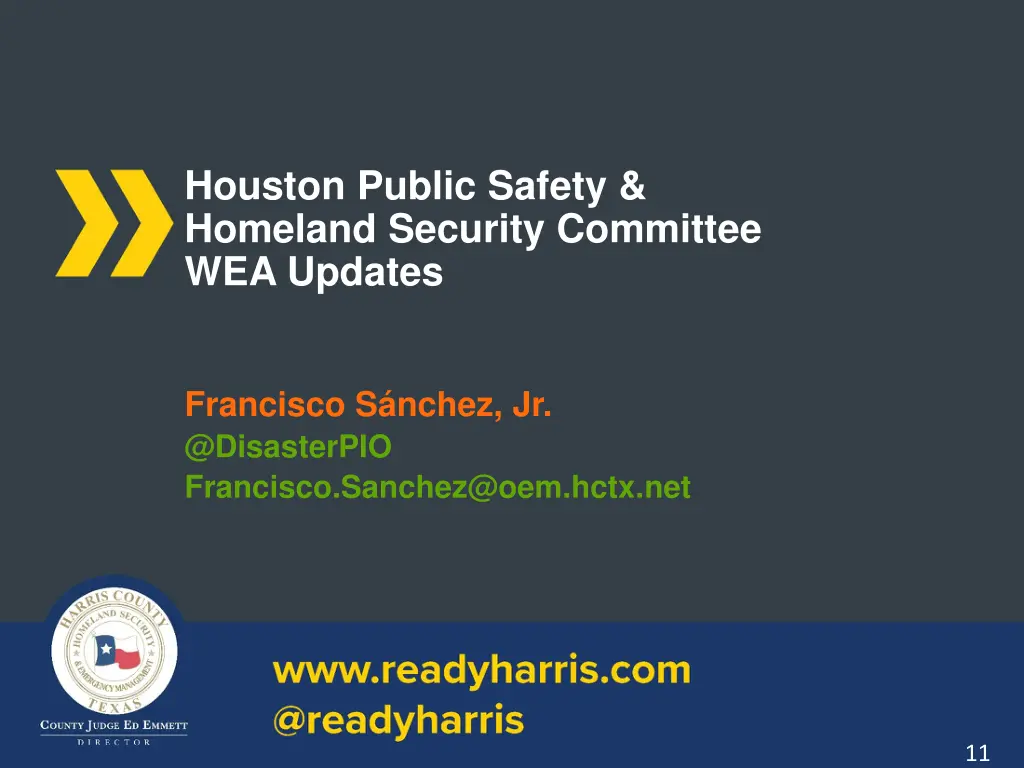 houston public safety homeland security committee 1