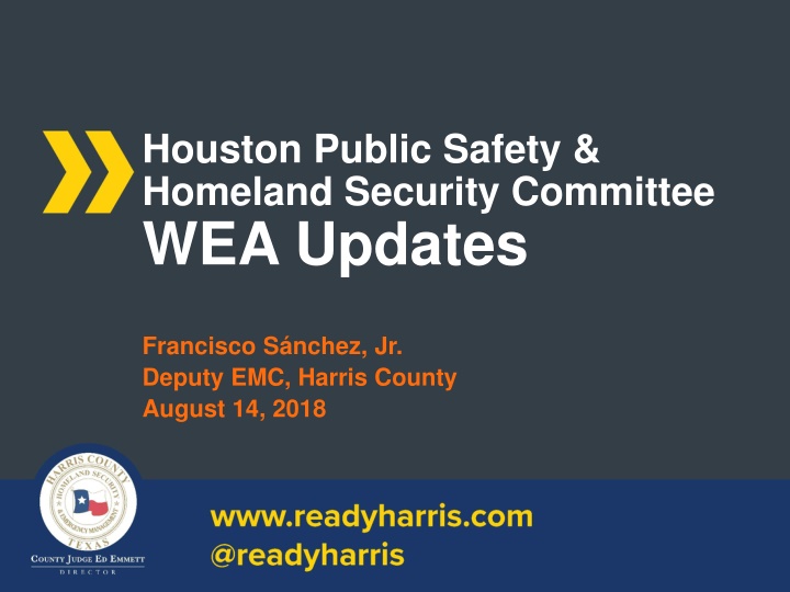 houston public safety homeland security committee
