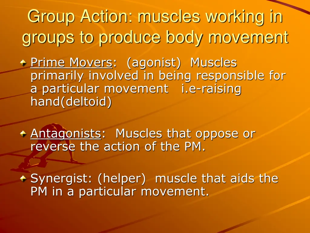 group action muscles working in groups to produce