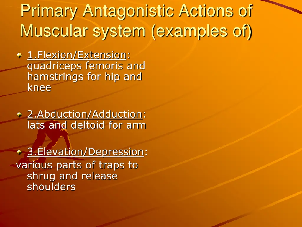 primary antagonistic actions of muscular system