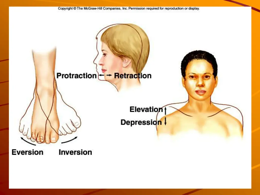 slide10