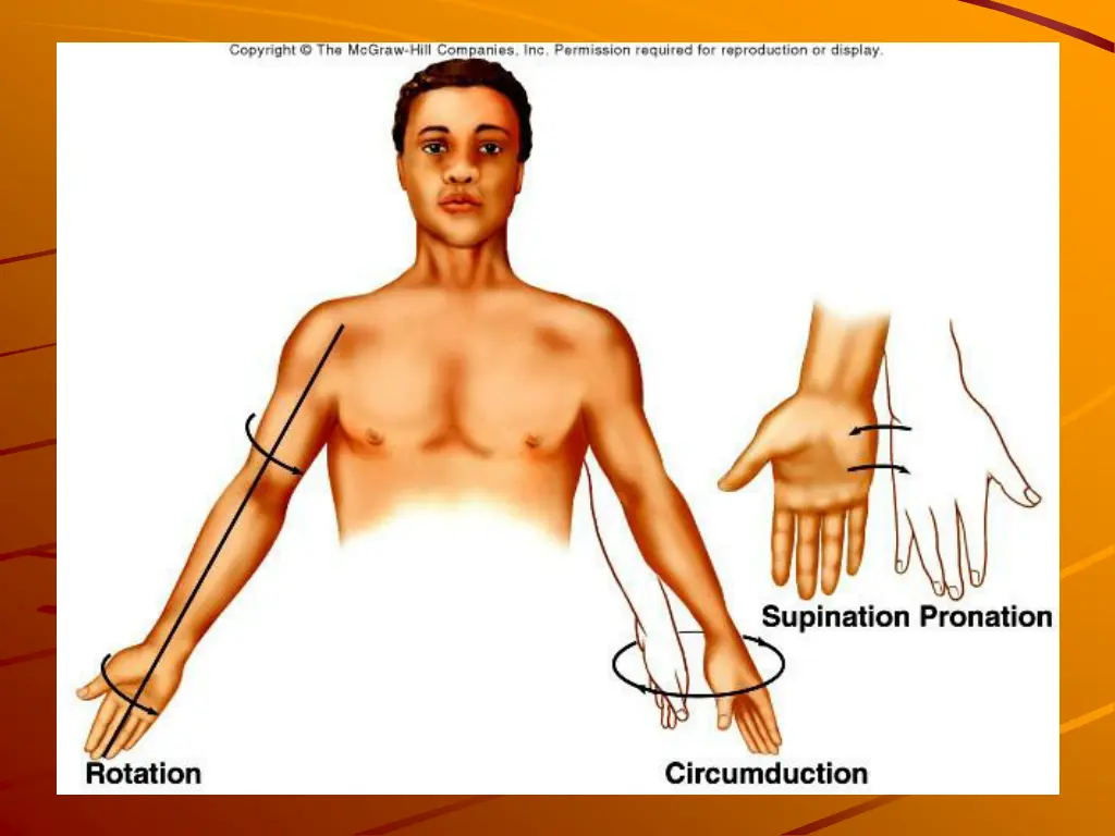 slide11