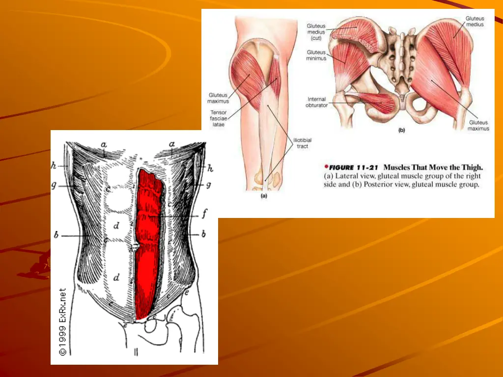 slide13