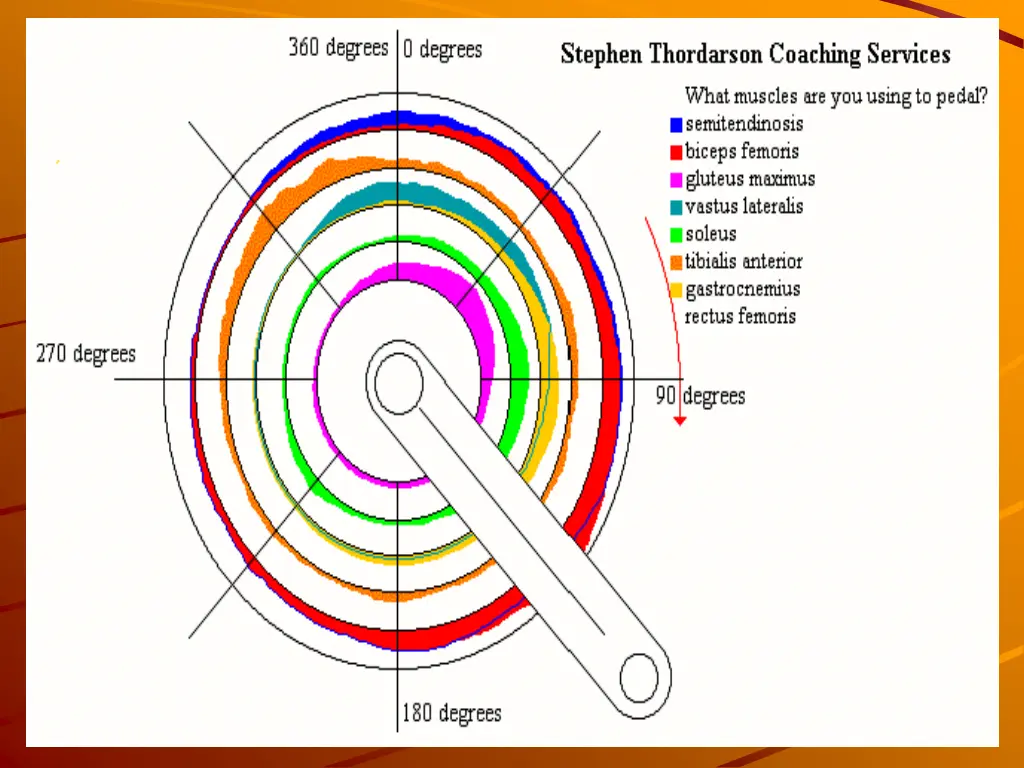 slide16
