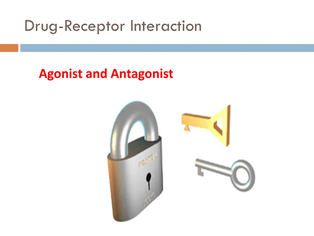 drug receptor interaction 3