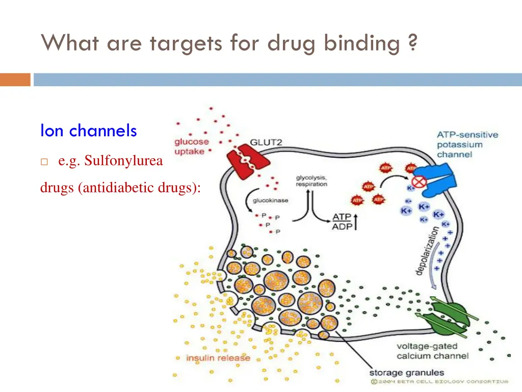 what are targets for drug binding 1