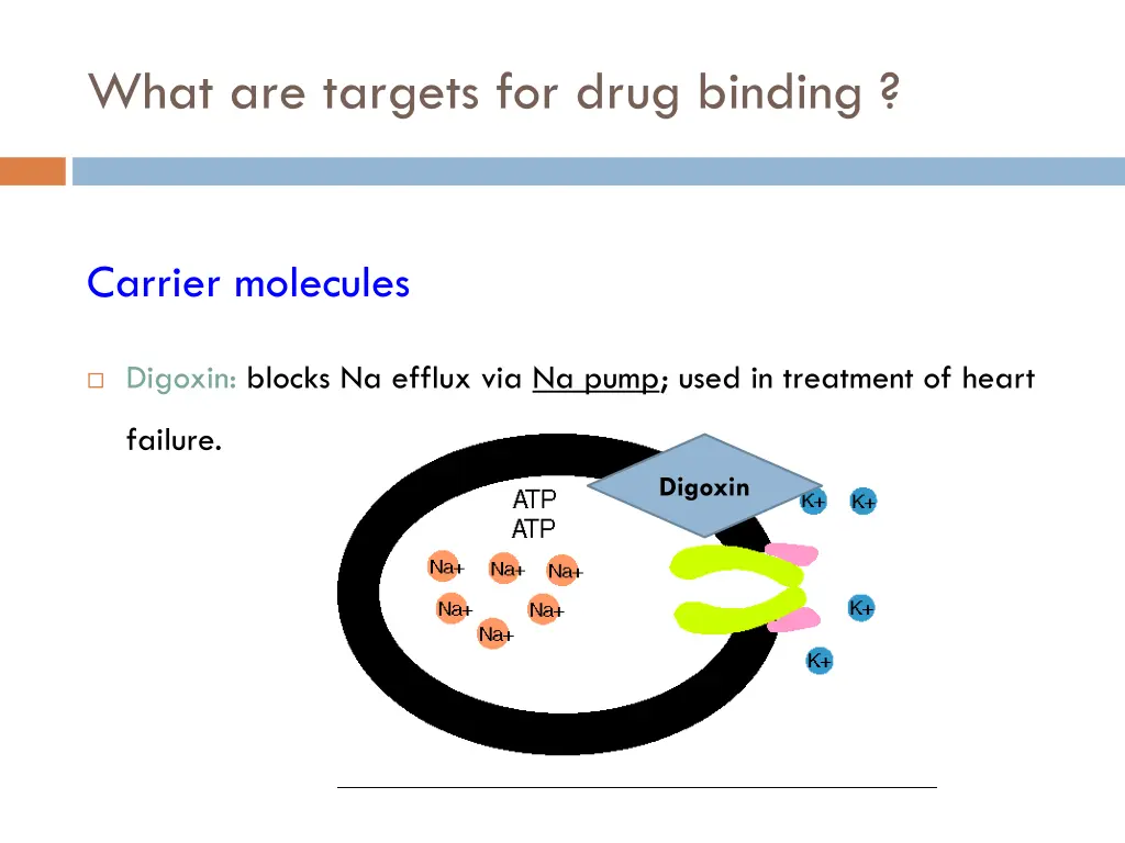 what are targets for drug binding 3