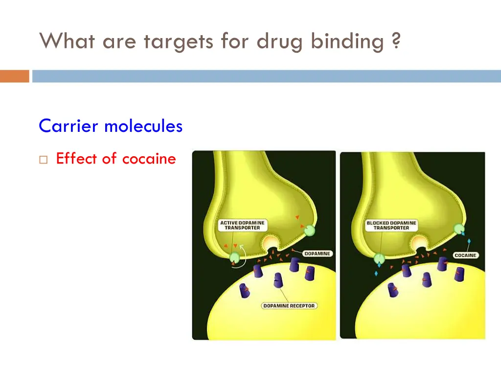 what are targets for drug binding 5