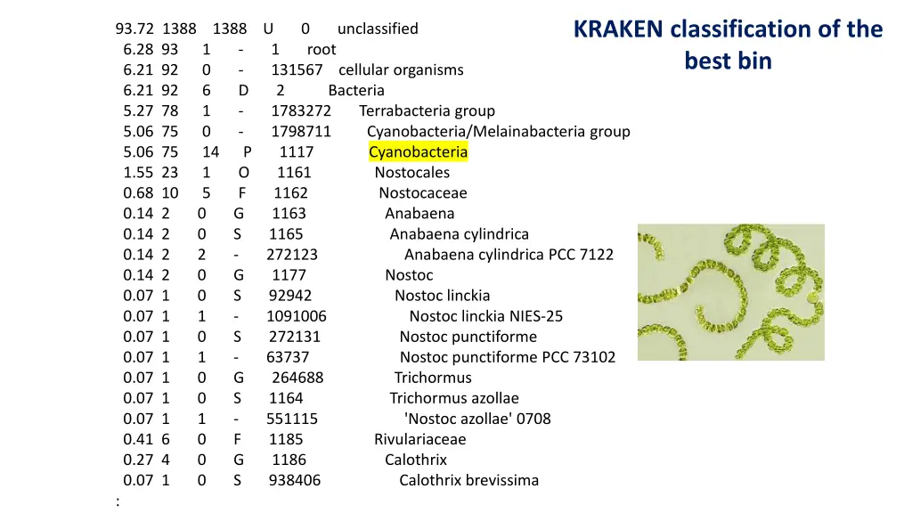 kraken classification of the best bin