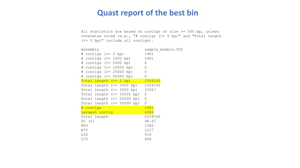 quast report of the best bin