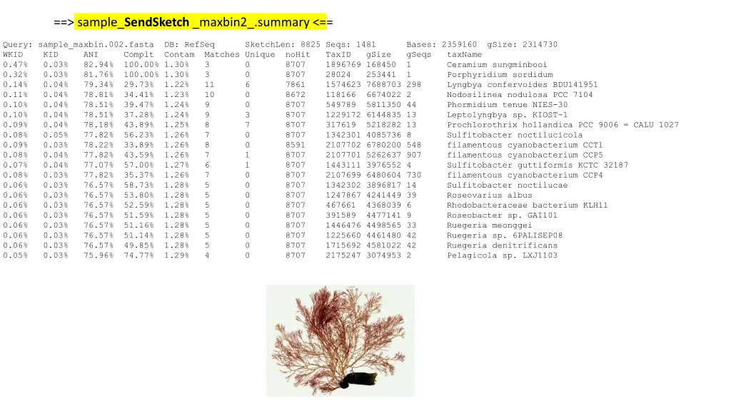sample sendsketch maxbin2 summary