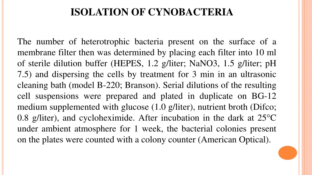 isolation of cynobacteria