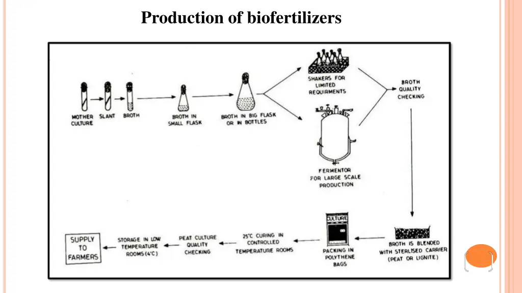 production of biofertilizers