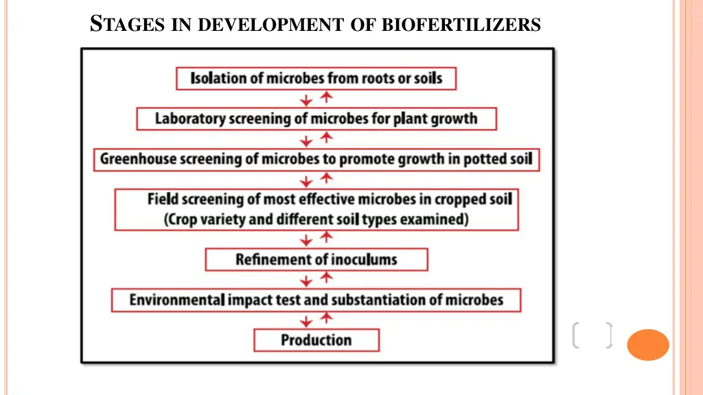 s tages in development of biofertilizers