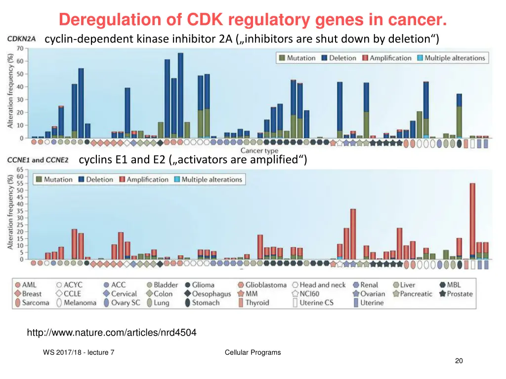 deregulation of cdk regulatory genes in cancer 2