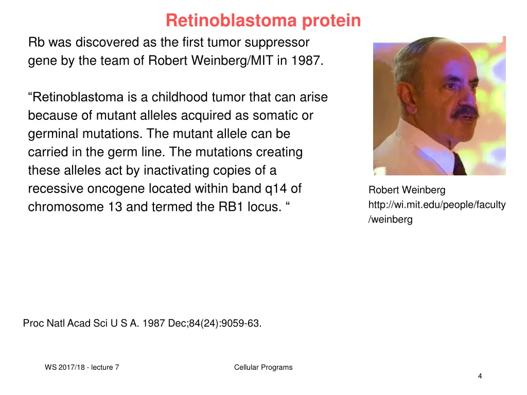 retinoblastoma protein
