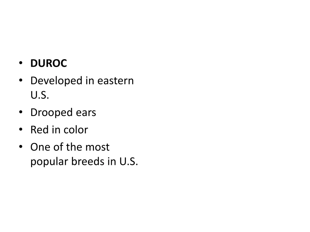 duroc developed in eastern u s drooped ears
