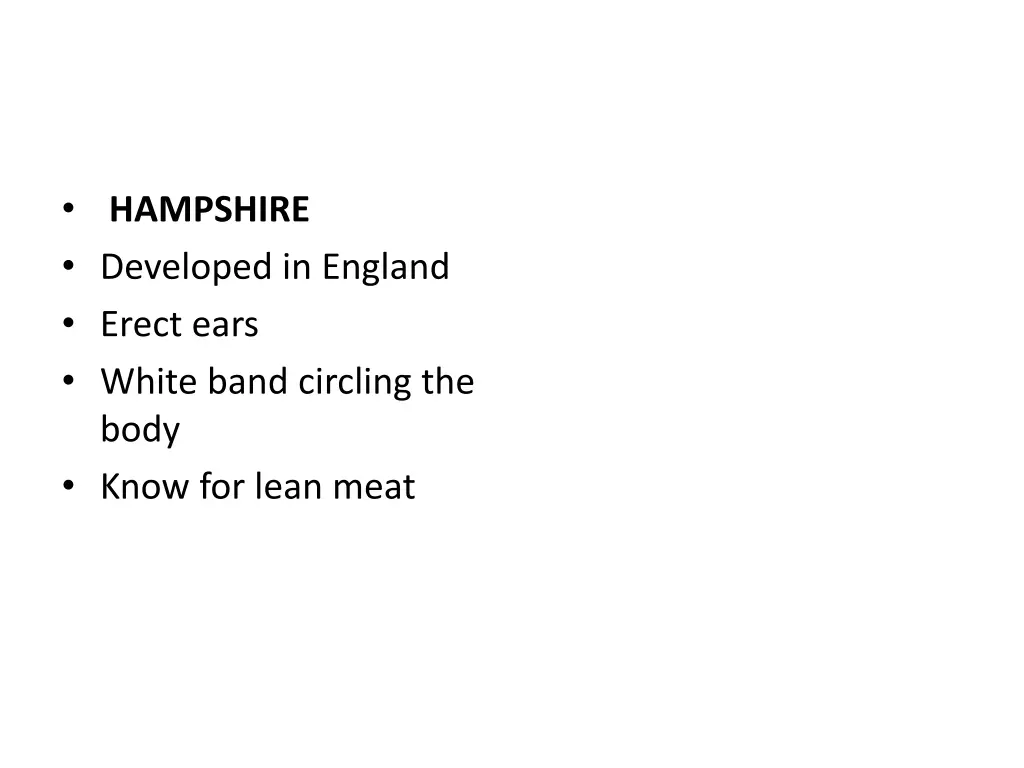 hampshire developed in england erect ears white