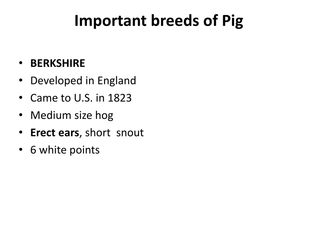 important breeds of pig