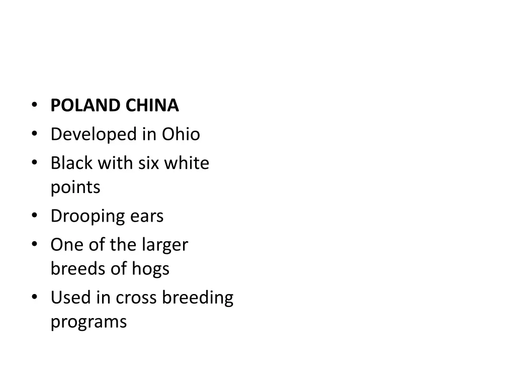 poland china developed in ohio black with