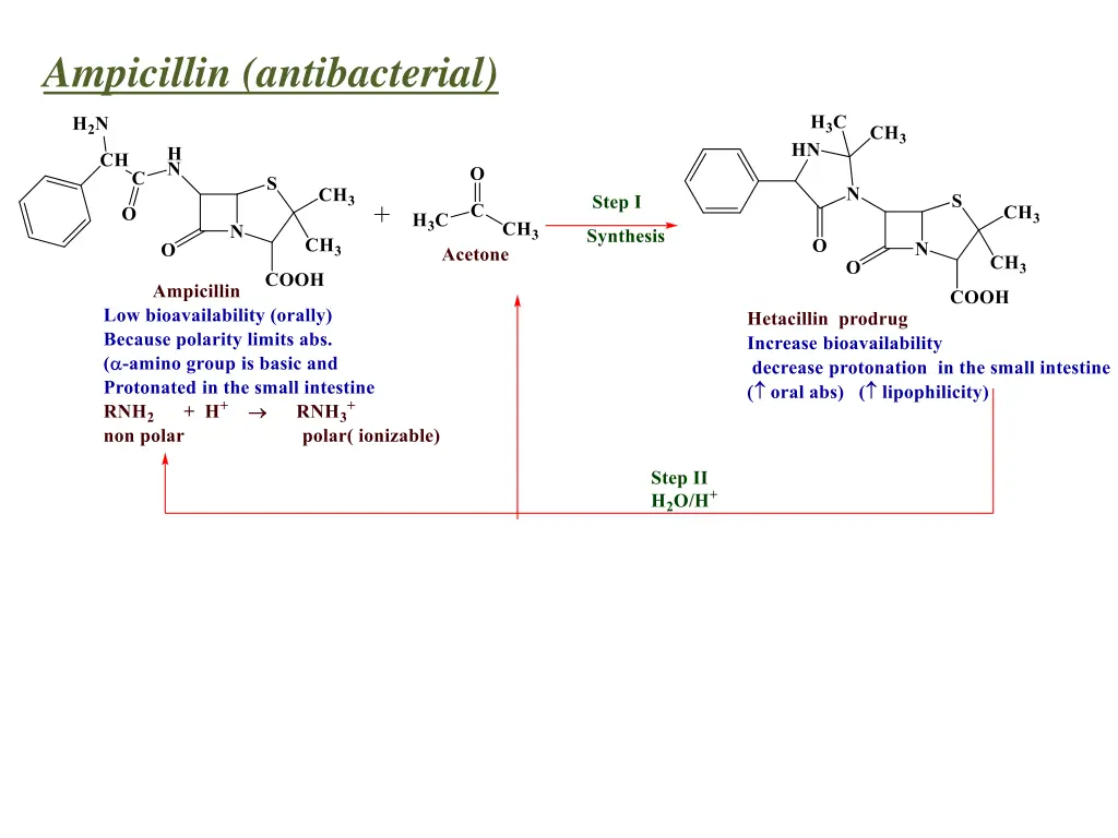 ampicillin antibacterial