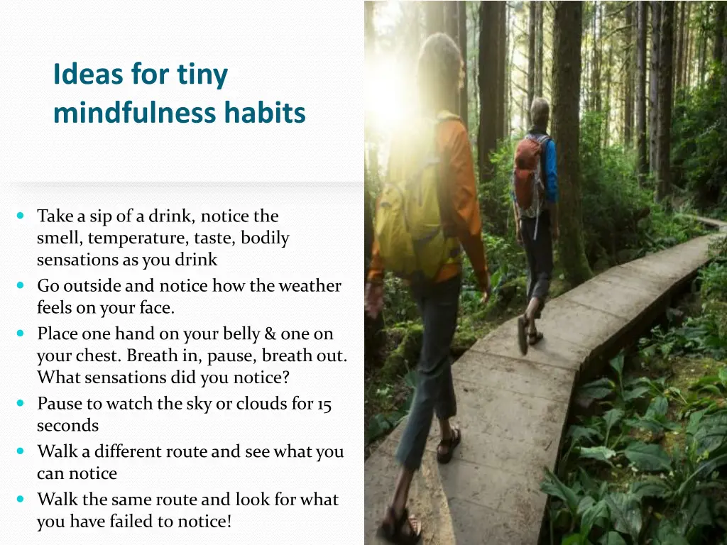 ideas for tiny mindfulness habits