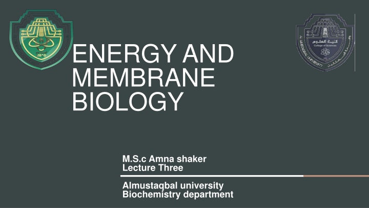 energy and membrane biology