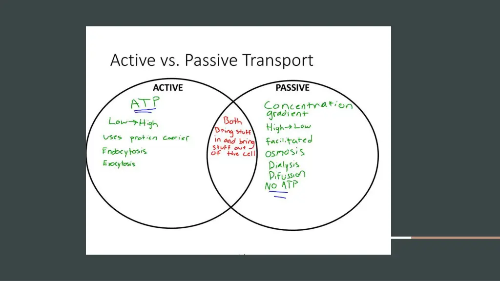 slide10