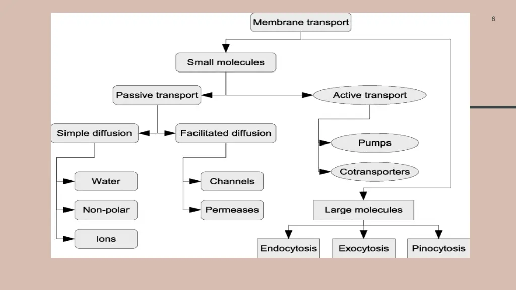 slide6