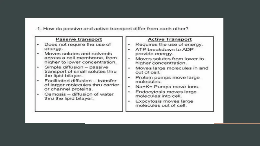 slide7