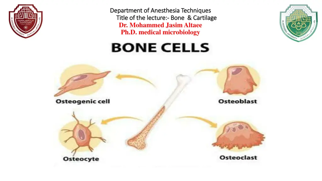 department of anesthesia techniques department 2