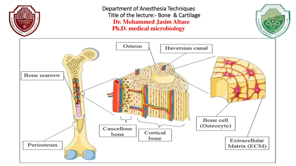 department of anesthesia techniques department 6