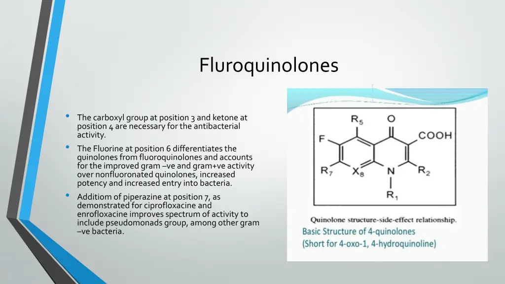 fluroquinolones 1