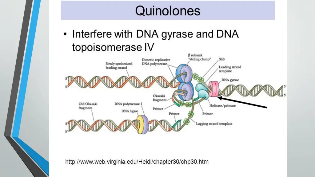 slide13
