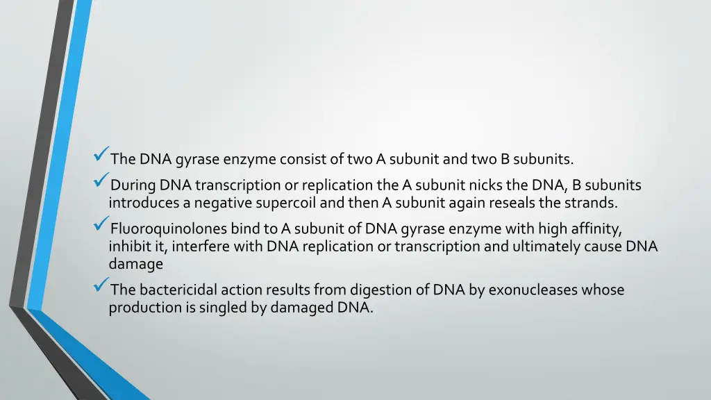 the dna gyrase enzyme consist of two a subunit