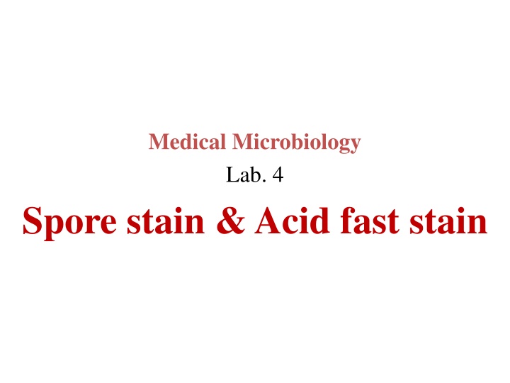 medical microbiology lab 4