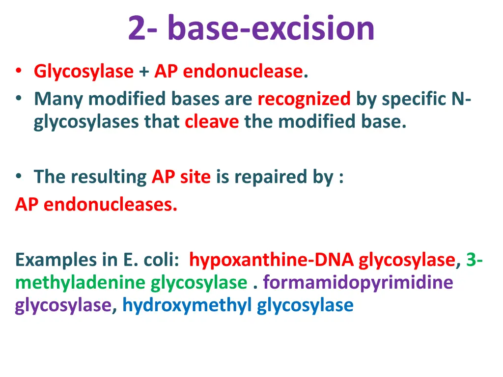 2 base excision glycosylase ap endonuclease many