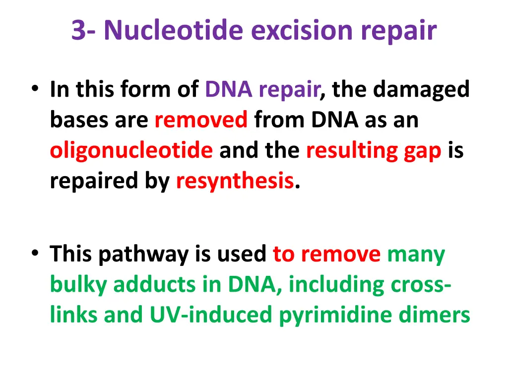 3 nucleotide excision repair